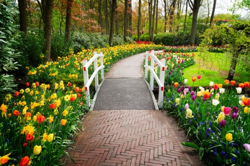 a garden path with flowers