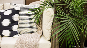 Fresh Ideas Stage Fresh Ideas Stage