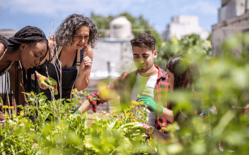 group of four young people outside learning to garden