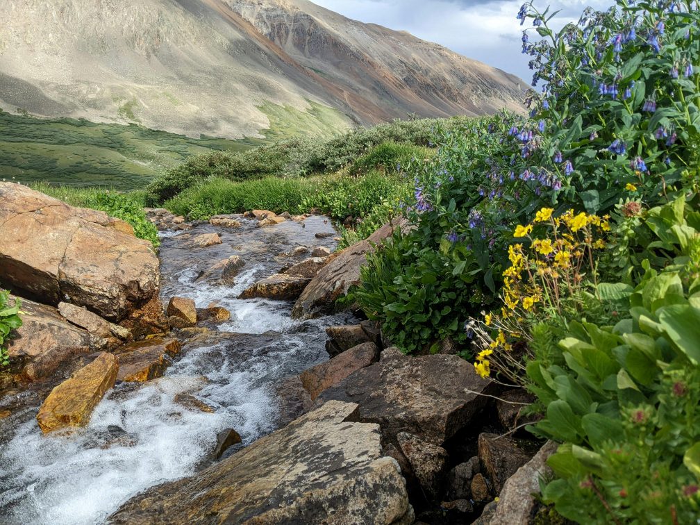 Feature Gardens | 2026 Theme: "Naturally Colorado"