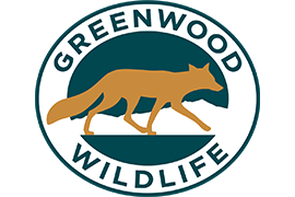 Greenwood Wildlife