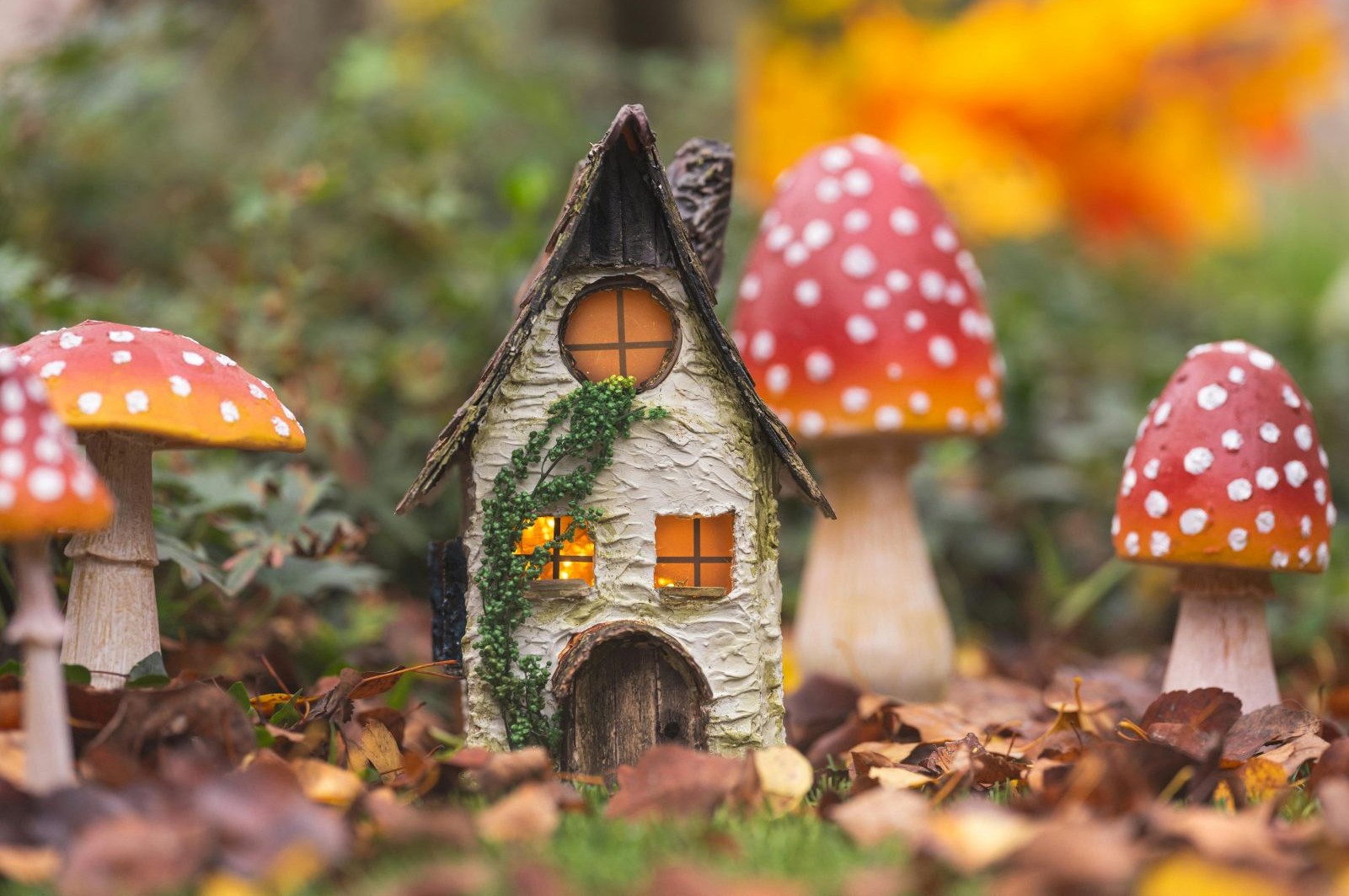 DIY Fairy Garden Workshop