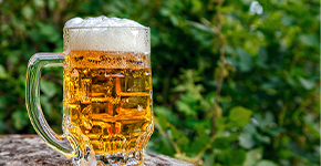 Perth Brewery Beer Garden by Wild Ridge Landscapes