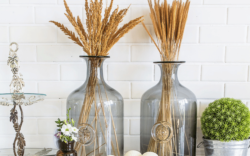 Home Decor items including a houseplant and two large clear jugs with dried wheat and pussy willow sticking out