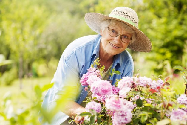 seniors4_smallc185f3a7-2a9a-4750-ab27-b748bf3b6f83
