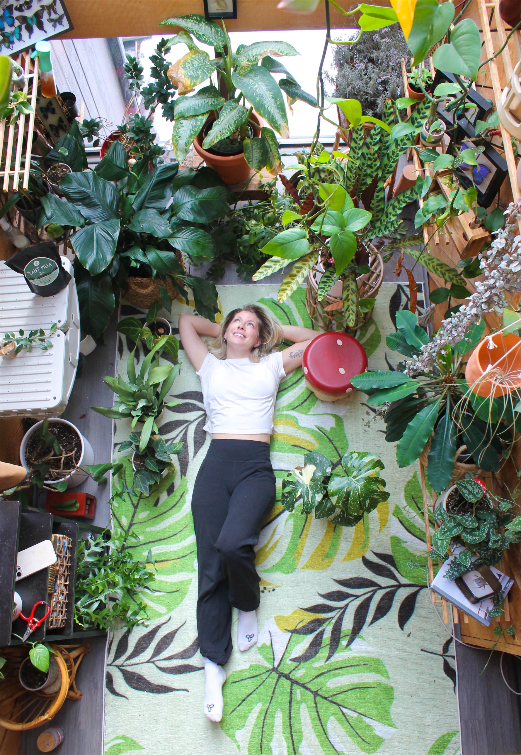 🌿 The Urban Botanist Presents: Bringing the Outdoors In – Canadian Cabin Home Living