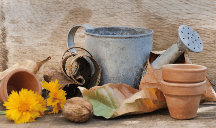 Ask a Gardener