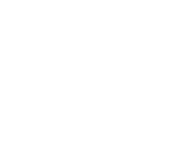 radio icon