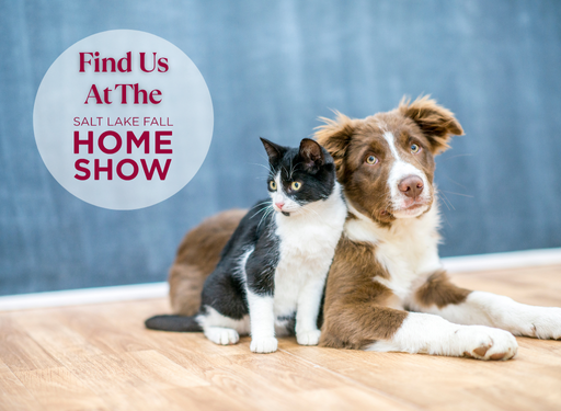 Pet Adoptions