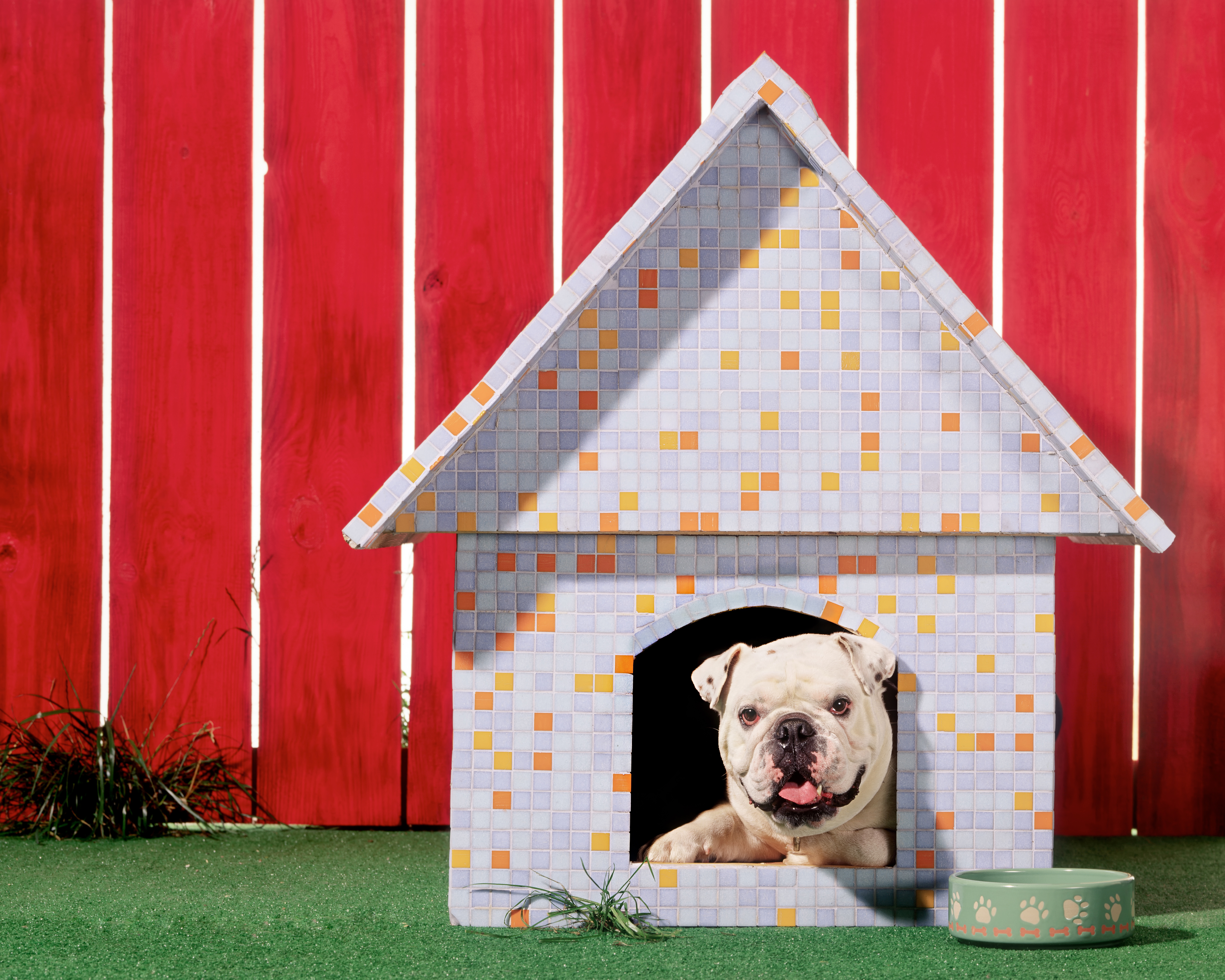 Hope Lives Here Pet Pavilion