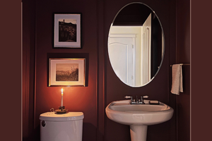 Polished POWDER Rooms