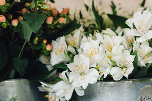 white flowers