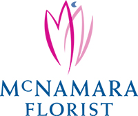 McNamara-New-logo-200