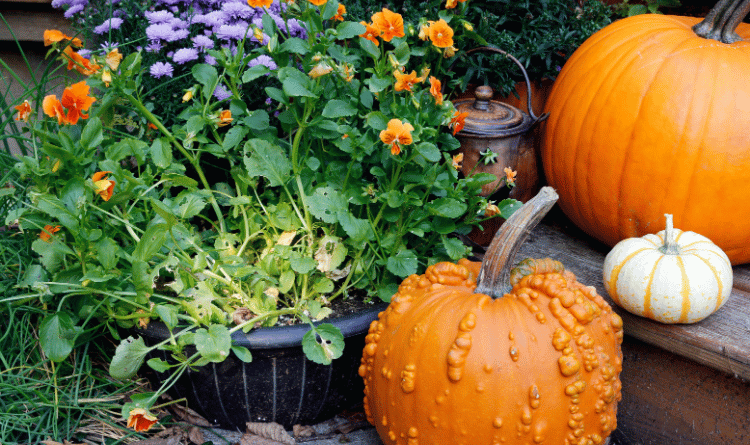 ASK A MASTER GARDENER