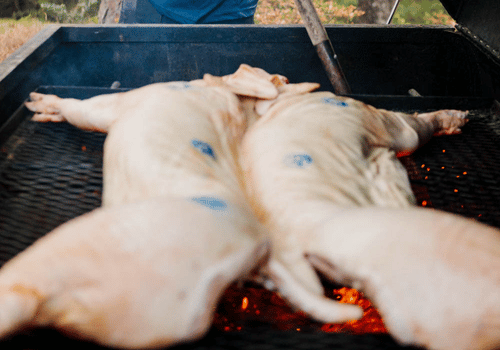 BBQing full pig split in half on large bbq outdoors in smoker