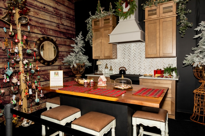 2025 Designer Room Kitchen