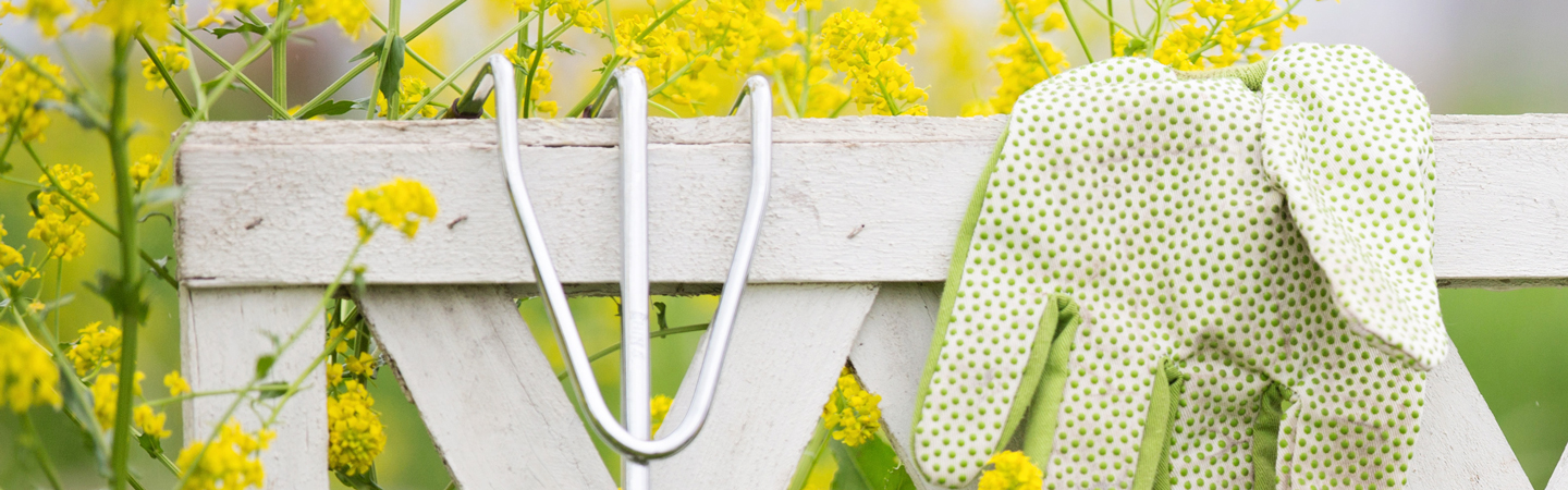 Garden Fence and Tools