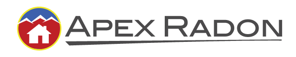 APEX Logo