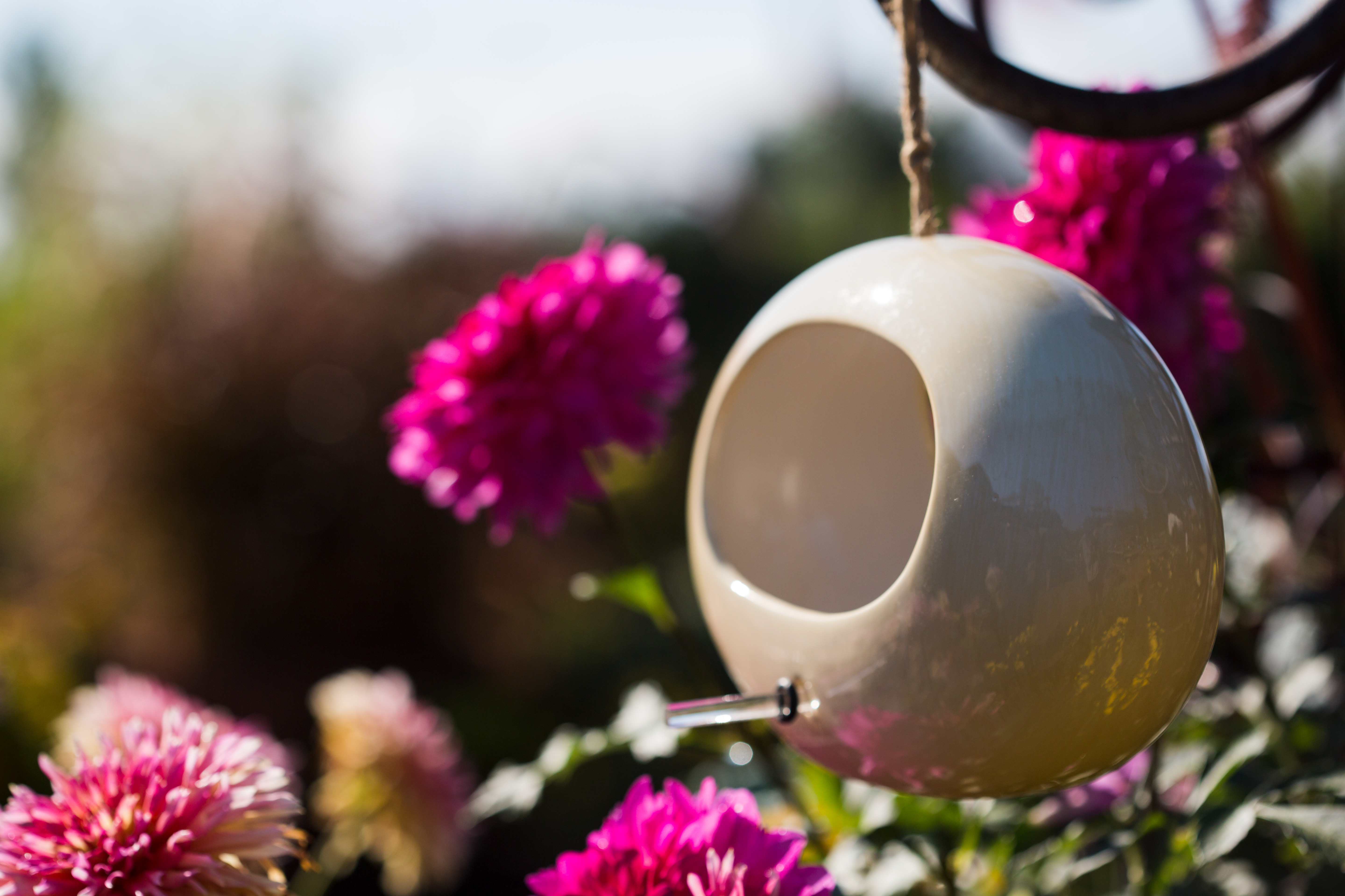 Bird Feeder Bird Feeder