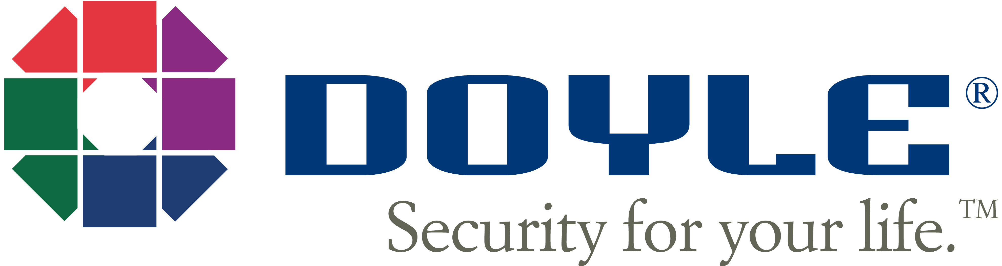 Doyle Security Systems Logo