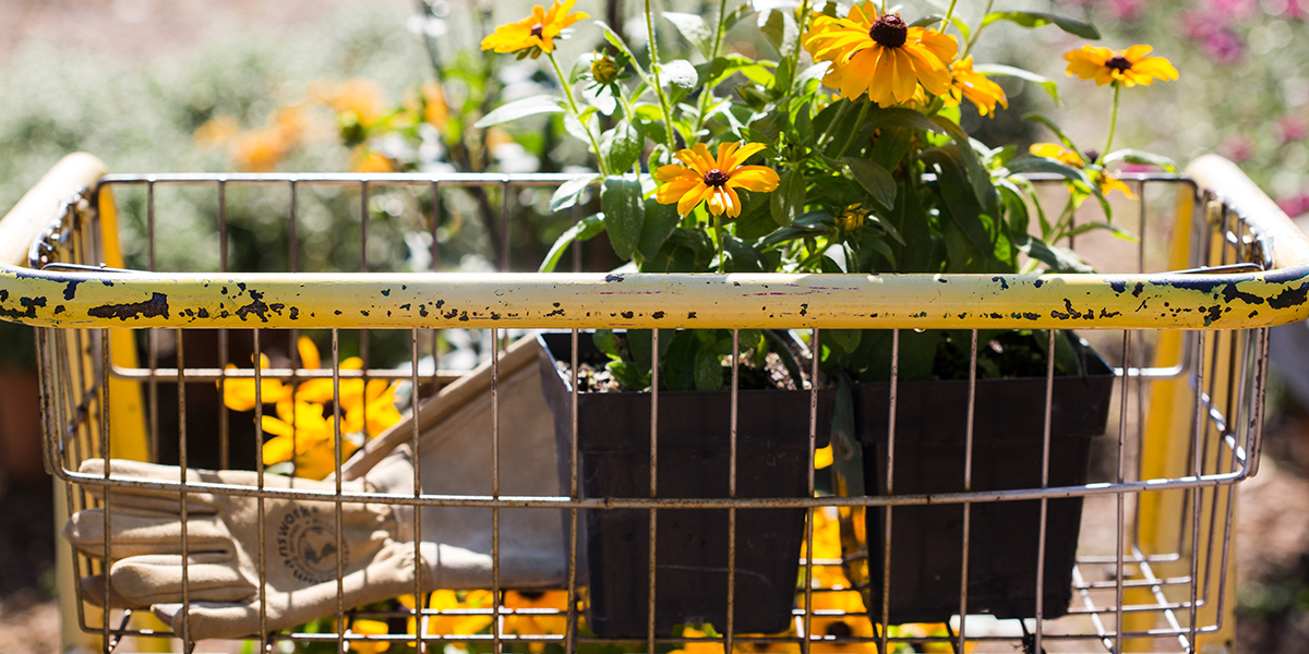 Gardening