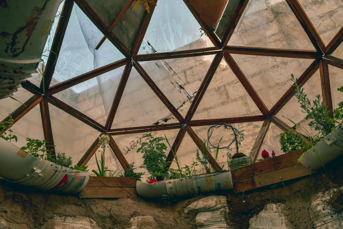Where Ideas Take Root