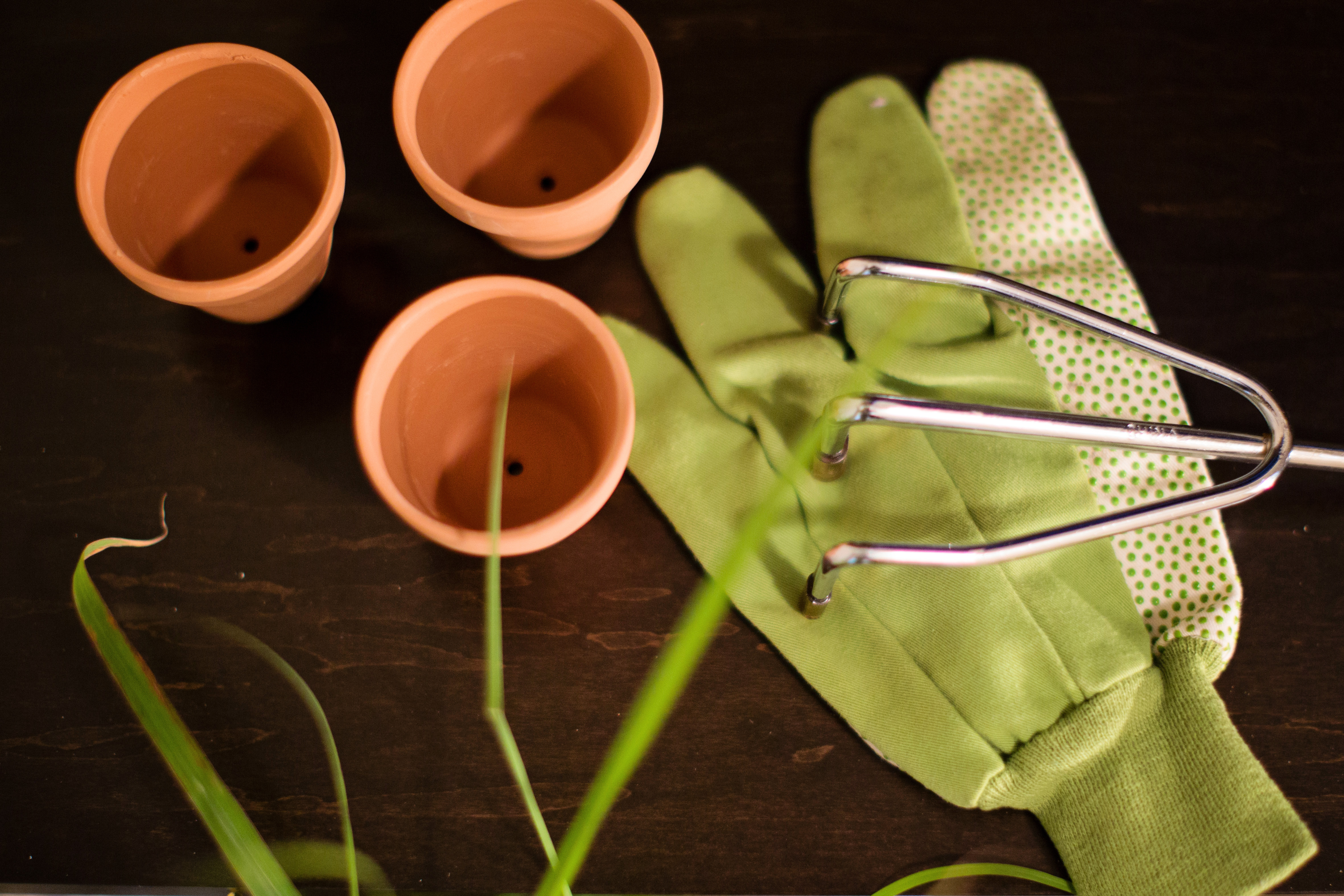 Pots and Garden Tools