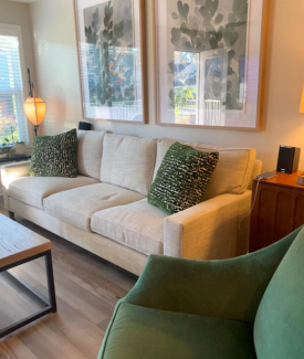 Sacksteder's Modern Green and Beige Living Room