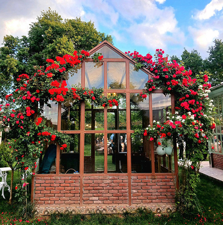 Backyard Garden Greenhouse with Red Flowers