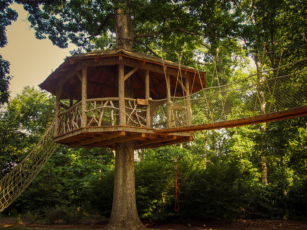 Beanstalk treehouse