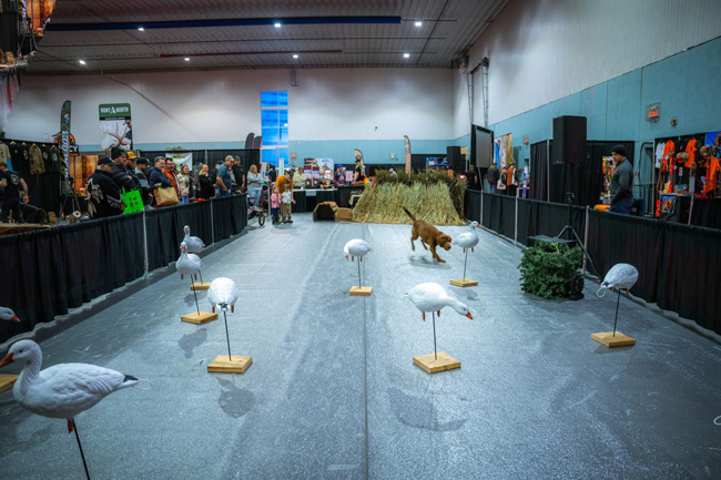 Commanditaire d’une zone ou d’une activité 