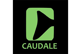 Caudale logo