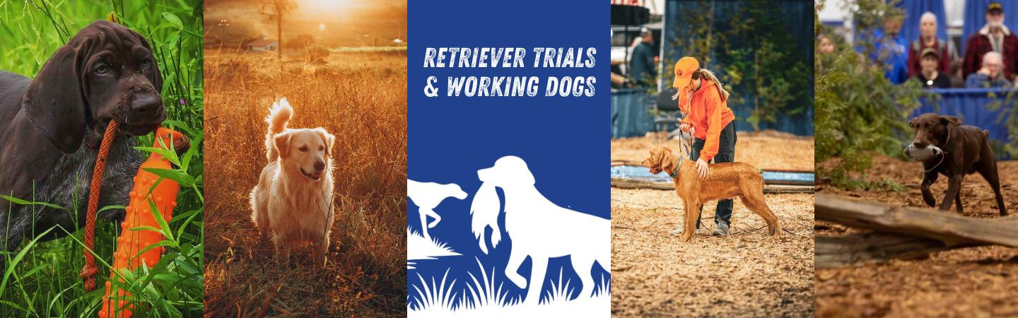 Retriever Trials and Working Dogs banner