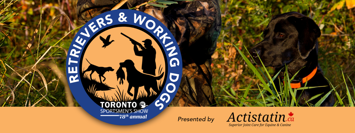 Retreivers-Hunting-Dogs-TorontoSportsmensShow