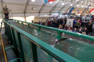 Mack’s Walleye Tank